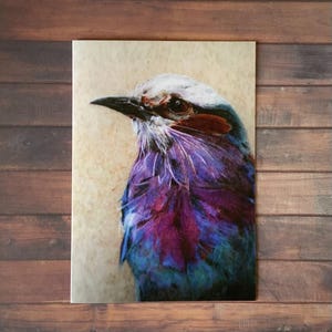 Carte de voeux lilas - A5