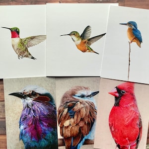 Lot Oiseau