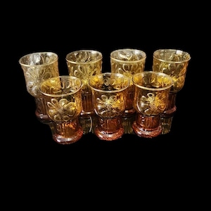 Mid Century 1970s Libby Country Garden Daisy Floral Amber Juice Glass Set of 7