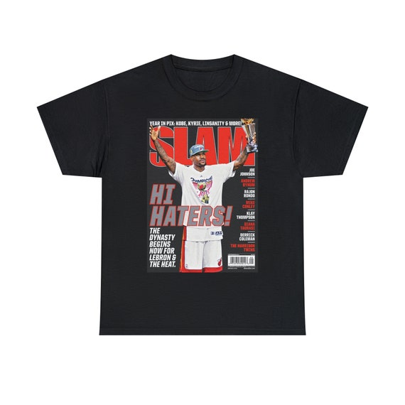 lebron heat t shirt