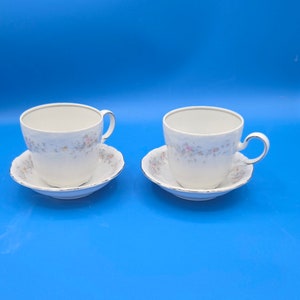 Johann Haviland Bavaria Germany Tea Cup & Saucer Set of 2 | Vintage Fine China | Floral Coffee Cups | Elegant German Porcelain