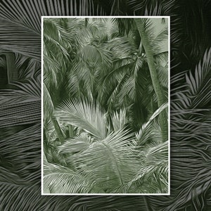 Jungle Island Palm Trees San Andres Johnny Cay Colombia Digital Print Photography