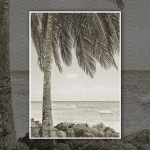 Palm Tree Beach San Andres Island Colombia Digital Print Photography