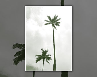 Cocora Valley Tall Palm Trees Salento Colombia Digital Print Photography