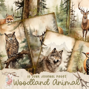 Spring Woodland Junk Journal Kit, Bosco, Animali, Natura, Diario spazzatura, Baby Woodland, Pagine di diario, Documenti collage, Download digitale
