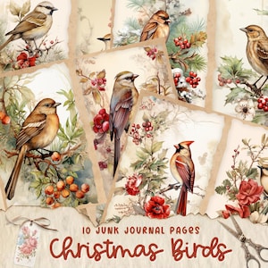 Winter Vögel, Vintage Weihnachtsvogel Tags, Weihnachten Journal, Etiketten, Tag Flip, Junk Journal, Ephemera, digital, Shabby, download, printable