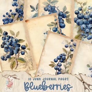 Páginas de diario basura de arándanos, bayas, kit de papel de álbum de recortes digital, fruta imprimible, hoja de collage, efímera vintage, páginas de frutas angustiadas