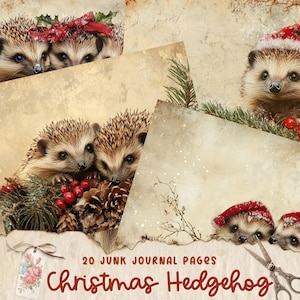 Páginas de diario basura de erizo navideño, descarga digital, álbum de recortes, imprimible, kit digital de diario basura vintage, diario de animales navideños, erizo