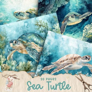 Kit de diário de lixo Baby Turtles, papel vintage Turtle, páginas de diário digital, páginas de animais Shabby Chic, suprimentos para diário de lixo, download