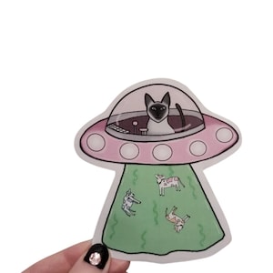 Adesivo gatto Ufo adesivo simpatico gatto siamese, disco volante che rapisce mucche