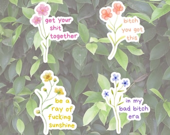 Sweary Affirmations Sticker Pack, Positive Affirmational Stickers Set of 4, Phone Case Stickers
