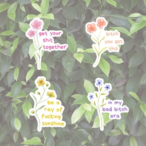 Sweary Affirmations Sticker Pack, Positive Affirmational Stickers Set of 4, Phone Case Stickers
