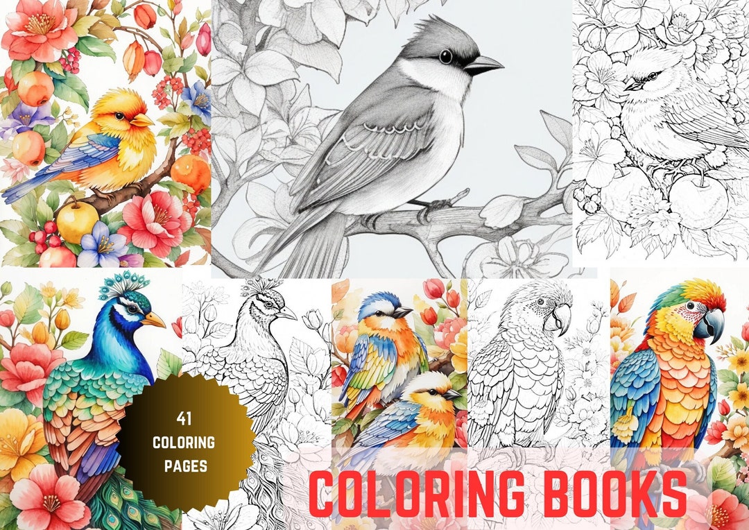 Printable Colouring Pages Printable Colouring Books - Etsy