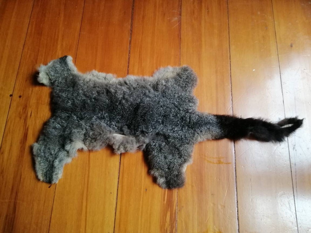 New Zealand Possum Pelt A Etsy