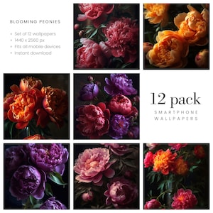 Blooming Peonies. Set of lovely wallpapers for smartphones.
