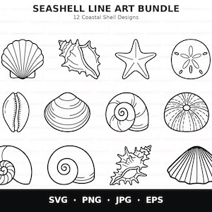 May include: A digital graphic set titled SEASHELL LINE ART BUNDLE 12 Coastal Shell Designs featuring twelve black and white line art illustrations of various seashells and a starfish, with file formats SVG, PNG, JPG, and EPS listed at the bottom.
