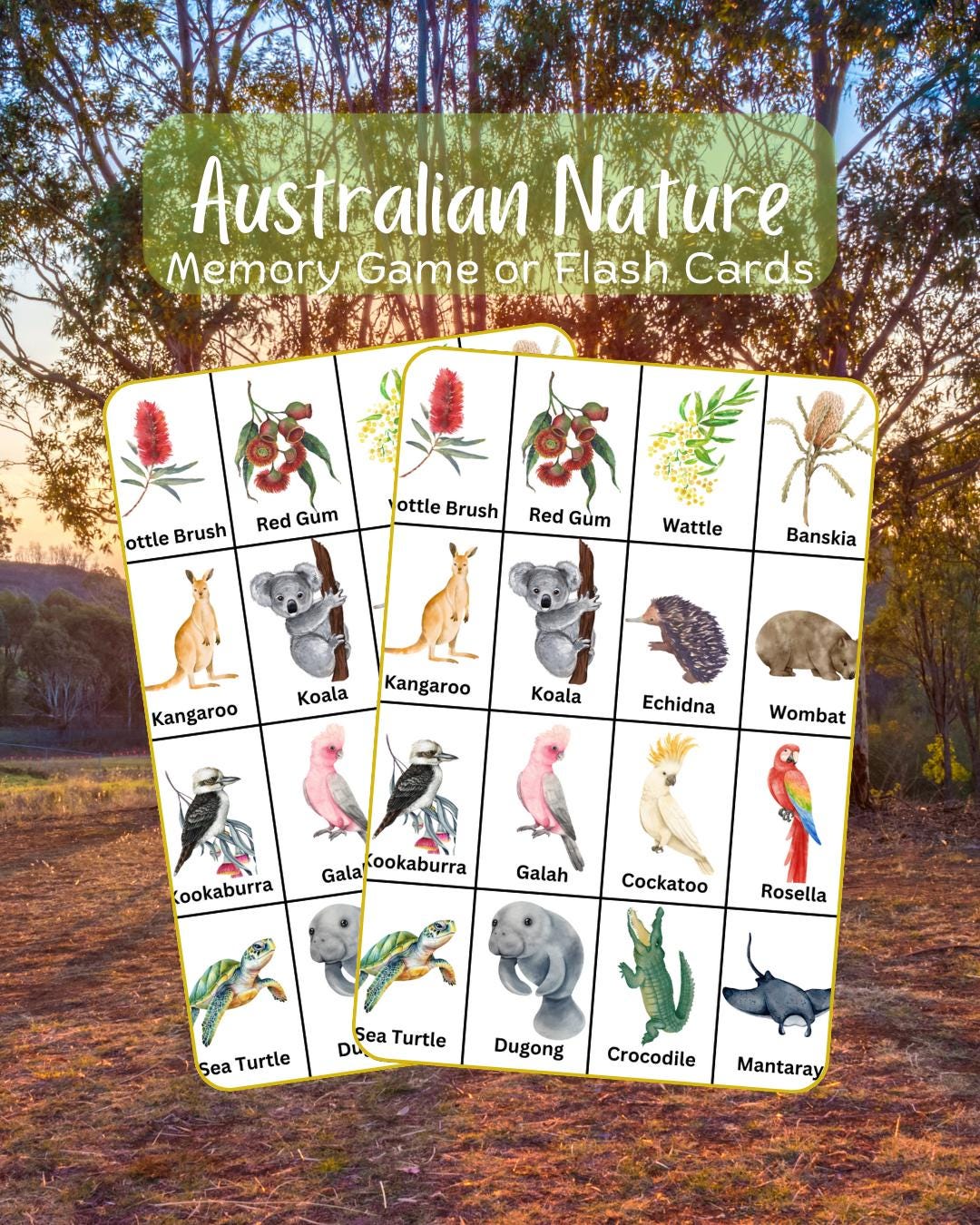 Australian Wildlife Memory Game: Printable Flash Cards (PDF) - Etsy ...