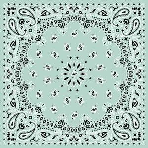 Può includere: Bandana quadrata con motivo paisley in bianco e nero su sfondo verde acqua chiaro. Il design presenta un motivo floreale centrale e un bordo di forme a goccia.