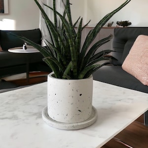 May include: A speckled white plant pot with a matching saucer contains a tall snake plant with green leaves. The pot sits on a white marble-effect table. The pot and saucer have dark grey and black flecks. The plant's leaves reach upwards, creating a modern look.