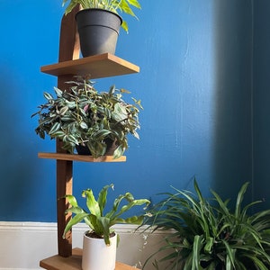 May include: A wooden plant stand with three shelves, featuring a variety of plants in pots. The stand is against a blue wall.