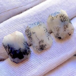May include: Three rectangular faceted gemstones with a translucent off-white base and dark black dendritic inclusions that resemble branching fern-like patterns. Each stone features a smooth polished surface and beveled edges.