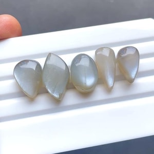 Grey Moonstone Cabochon Loose Gemstone 5 Pieces Lot | Size : 22-17 MM | AAA+ Natural Grey Moonstone For Handmade Jewelry - SC10277