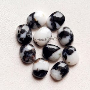 Puede incluir: Un conjunto de piedras rodadas pulidas, con una mezcla de patrones en blanco y negro. Algunas piedras son predominantemente blancas, mientras que otras presentan remolinos y manchas negras. Las piedras son lisas, con el texto "StonesCreation" visible.