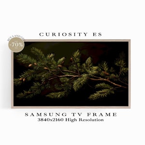 Puede incluir: Un primer plano de una rama de pino con agujas verdes y piñas marrones sobre un fondo oscuro. La imagen está enmarcada en un marco de madera claro. El texto "CURIOSITY ES" está por encima de la imagen y "SAMSUNG TV FRAME 3840x2160 High Resolution" está por debajo de la imagen.