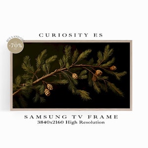Puede incluir: Una impresión de arte digital de una rama de pino con agujas verdes y piñas marrones sobre un fondo verde oscuro. La impresión está enmarcada en un marco de madera claro. El texto "CURIOSITY ES" está en la parte superior de la imagen y el texto "SAMSUNG TV FRAME 3840x2160 High Resolution" está en la parte inferior de la imagen.