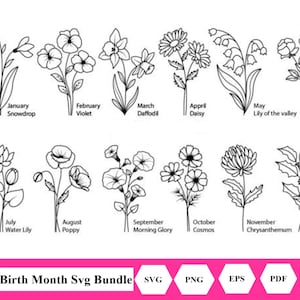 72+ BirthMonth Svg Bundle | Flower Bouquet Svg | Birth Flower Svg | Floral svg | Botanical svg | Birthday svg| Instant Download I Svg File