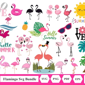 Flamingo Bundle SVG Designs, Summer Cut File Svg, Flamingo Svg File For Cutting Machine Silhouette Cameo, Cricut Commercial Use. t-shirt svg