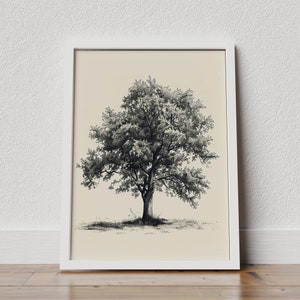 Vintage Tree sketch, Nature print, drawing Tree, Neutral Wall Art, Antique Drawing of Tree,Antique Rustic Tree Sketch Art,Artwork Tree Print