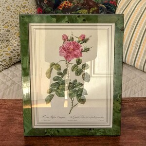 Impression tirée d'une lithographie de Redouté Rosa Bifera Variegata
