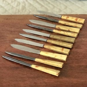Set of 10 cheese or dessert knives with imitation horn bakelite handles