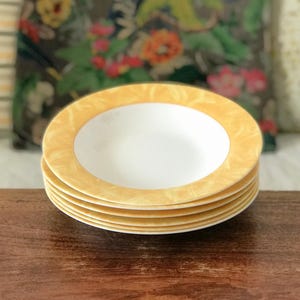 LOT DE 12 Assiettes à Soupe Arcopal Vintage - Motifs Bleus avec Roses