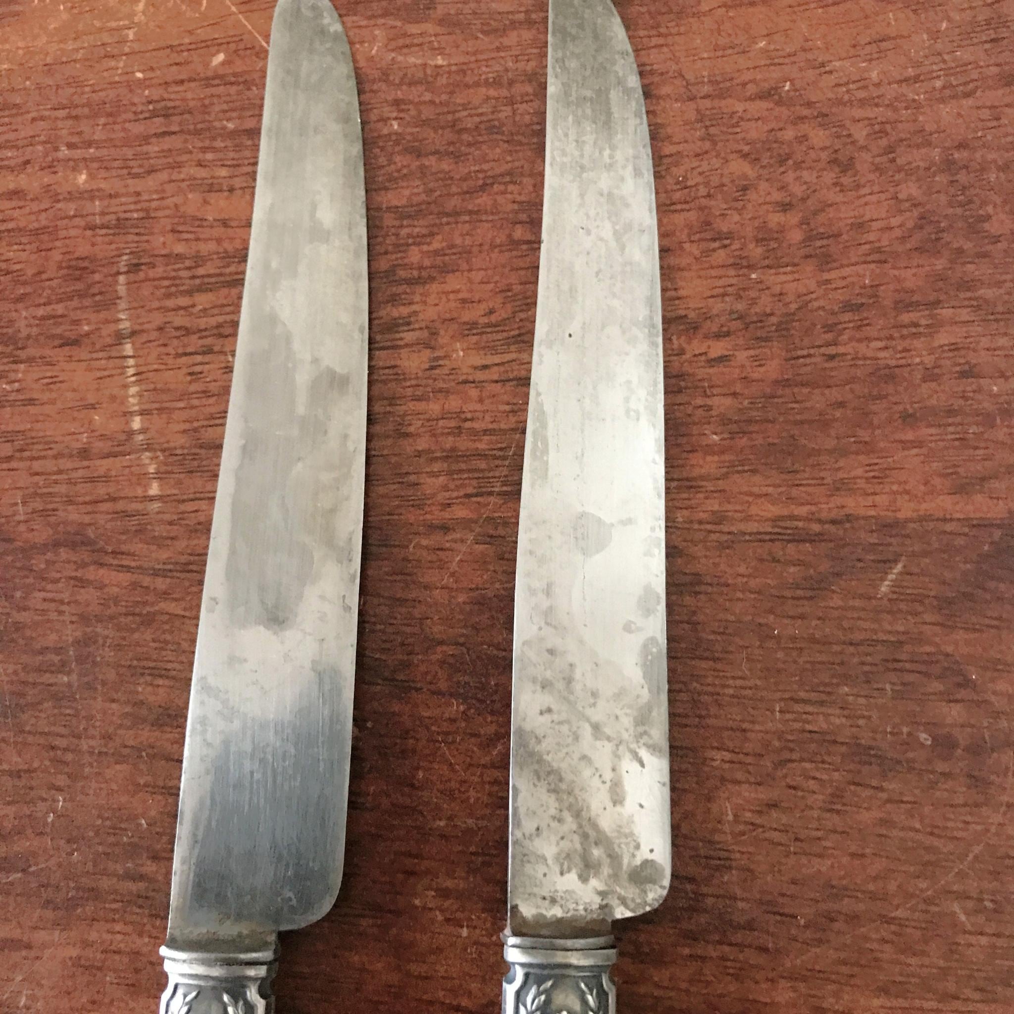 Couteaux Anciens Manu France Corne Inox Ménagère Coffret Sai