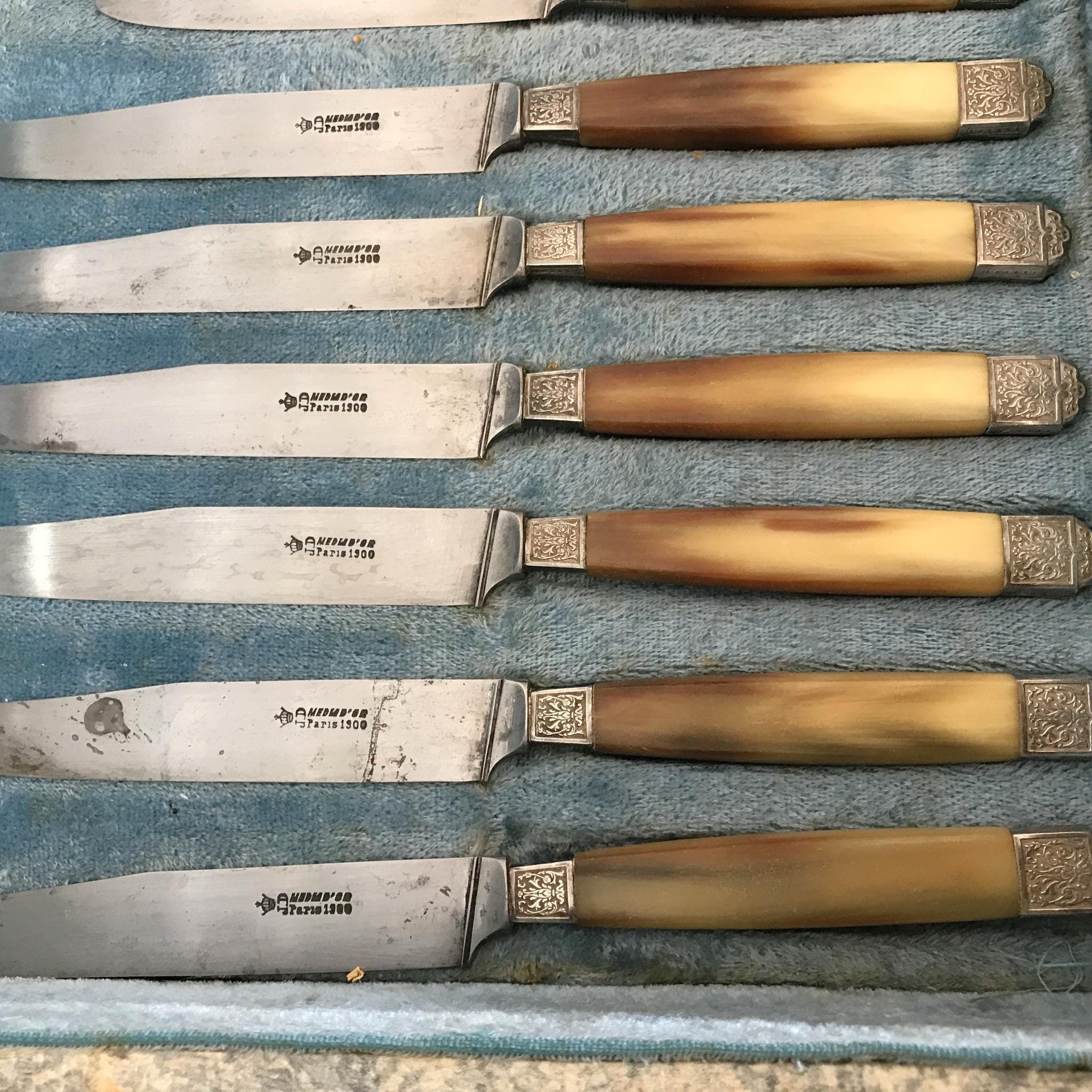 ANCIEN SERVICE A Decouper Le Gibier Gigot Inox Et Manches En Bois De