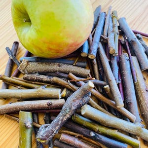 Bâtonnets de pomme et de fruit, Bâtonnets à mâcher, Bâtonnets à mâcher de lapin, gerbille, cobayes
