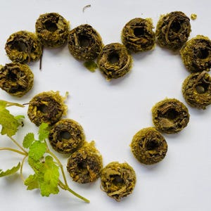 Può includere: Una forma a cuore fatta di foglie di tè verde essiccate disposte su una superficie bianca.