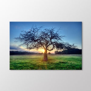 Sunset and Tree Canvas Wall Art, Nature Wall Decoration, Gift for Nature Lovers, Green Design Ideas, Big Tree Photograph, Landscape Print