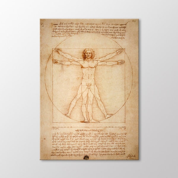 Hombre de Vitruvio de Leonardo Da Vinci Canvas Wall Art