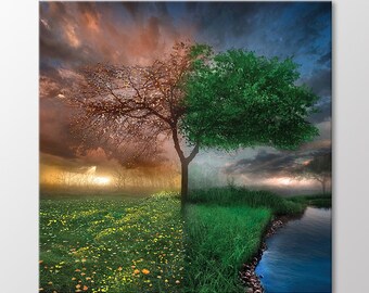 Four Season Canvas Wall Art