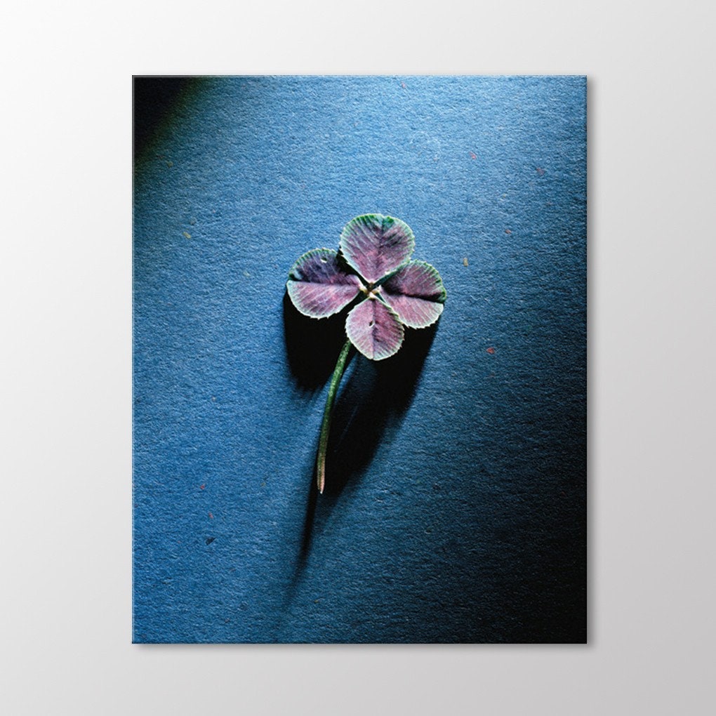 Purple Flower Canvas Wall Art
