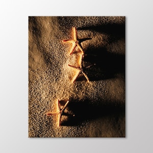 Starfish Canvas Wall Art, Starfish Decor Art Print, Canvas Ready to Hang