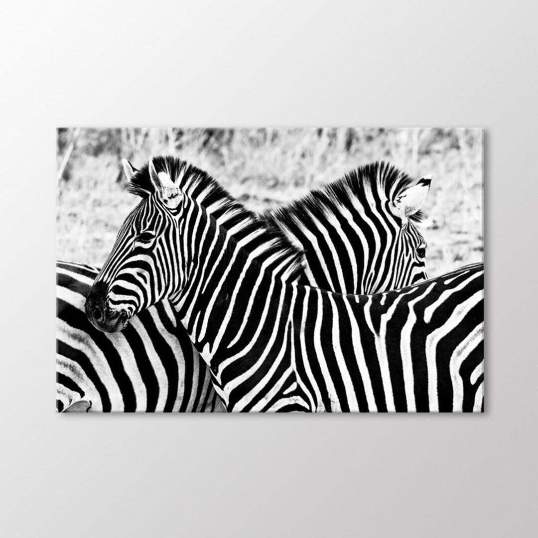 Zebra Canvas Print, Black and White African Animal Wall Art, Ready to ...