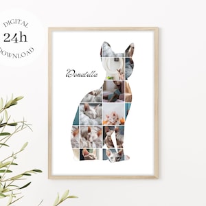 Custom Cat Photo Collage | Pet Owner Gift | Cat Loss Memory | Cat Digital File | Personalized Sphynx Cat Printable Poster | Wall Art Decor