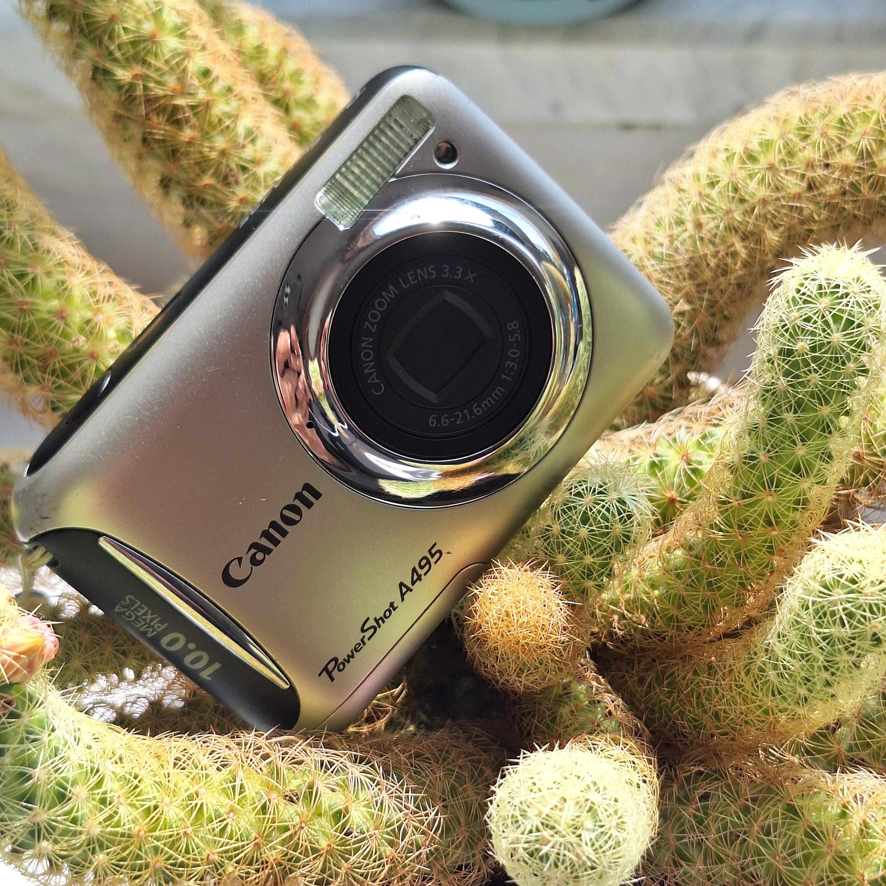 a*a様 O19760 Canon PowerShot A495 A1470 デ Canon PowerShot A495 (Silver) 10-megapixel digital camera