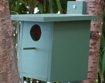 Owlet-nightjar Bird House Plans | DIY Birdhouse | Build Your Own | Step-by-Step Instructions | Instant Download