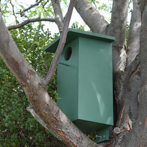 May include: A green birdhouse mounted on a tree trunk. The birdhouse has a round opening and a flat roof.