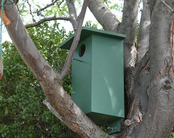 Rosella Bird House Plans | DIY Birdhouse | Build Your Own | Step-by-Step Instructions | Instant Download